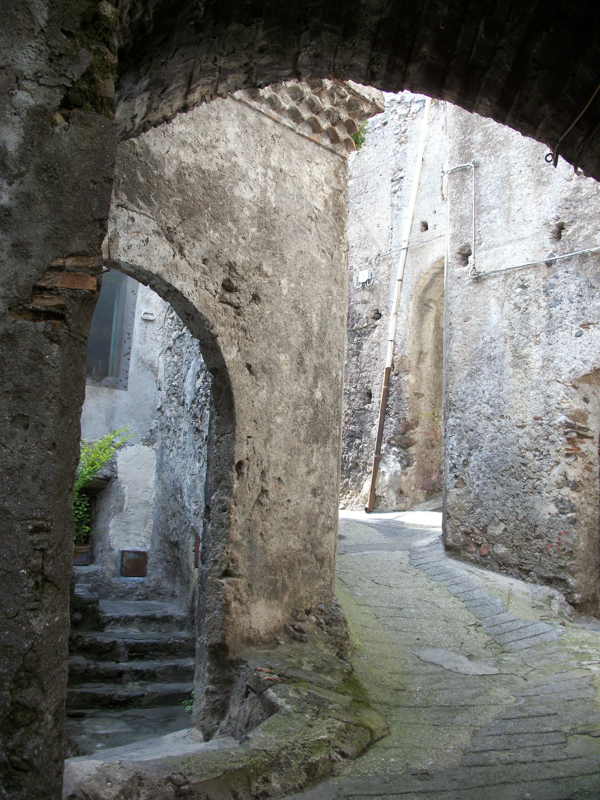 Saracena — photo 6
