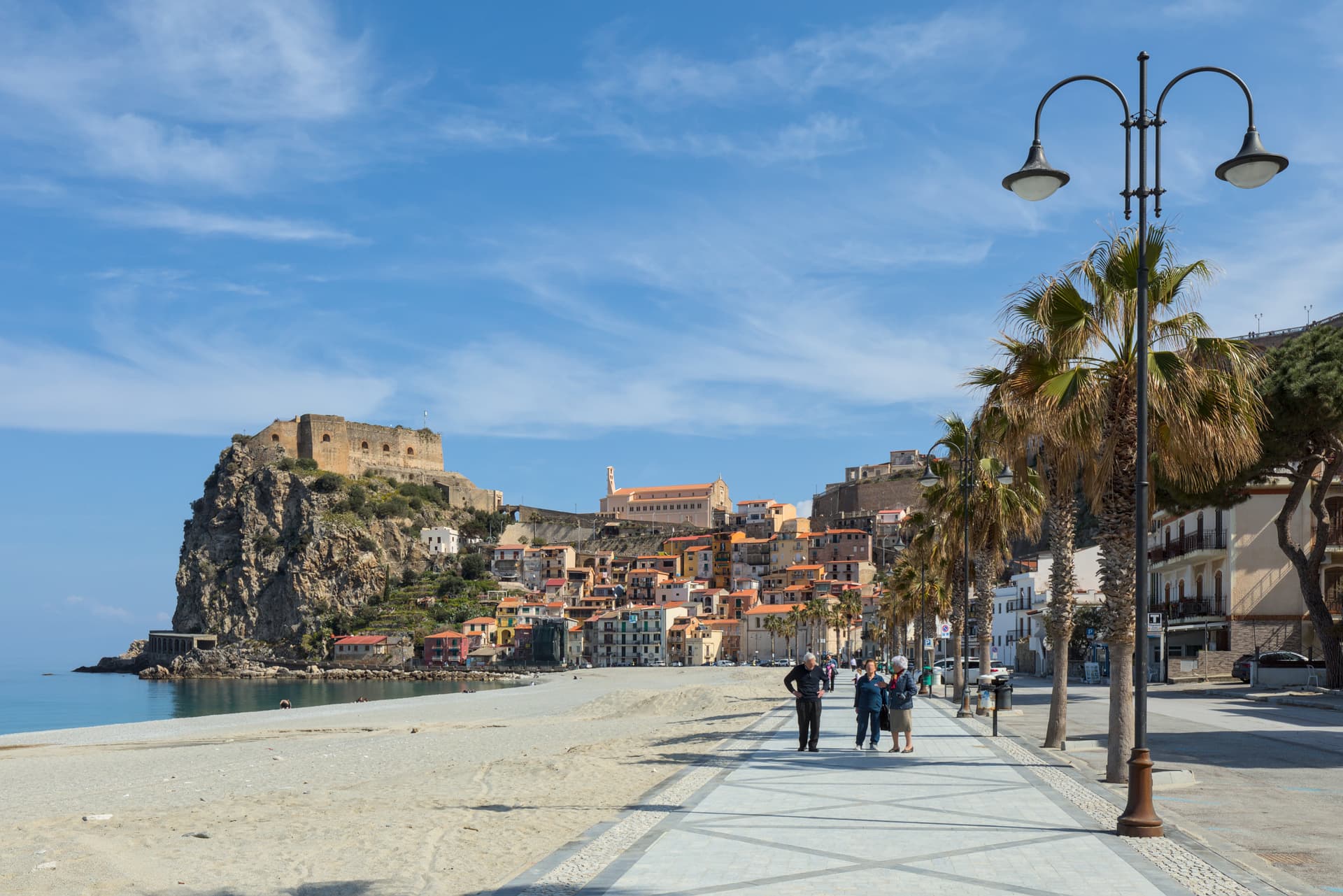 Scilla — photo 4