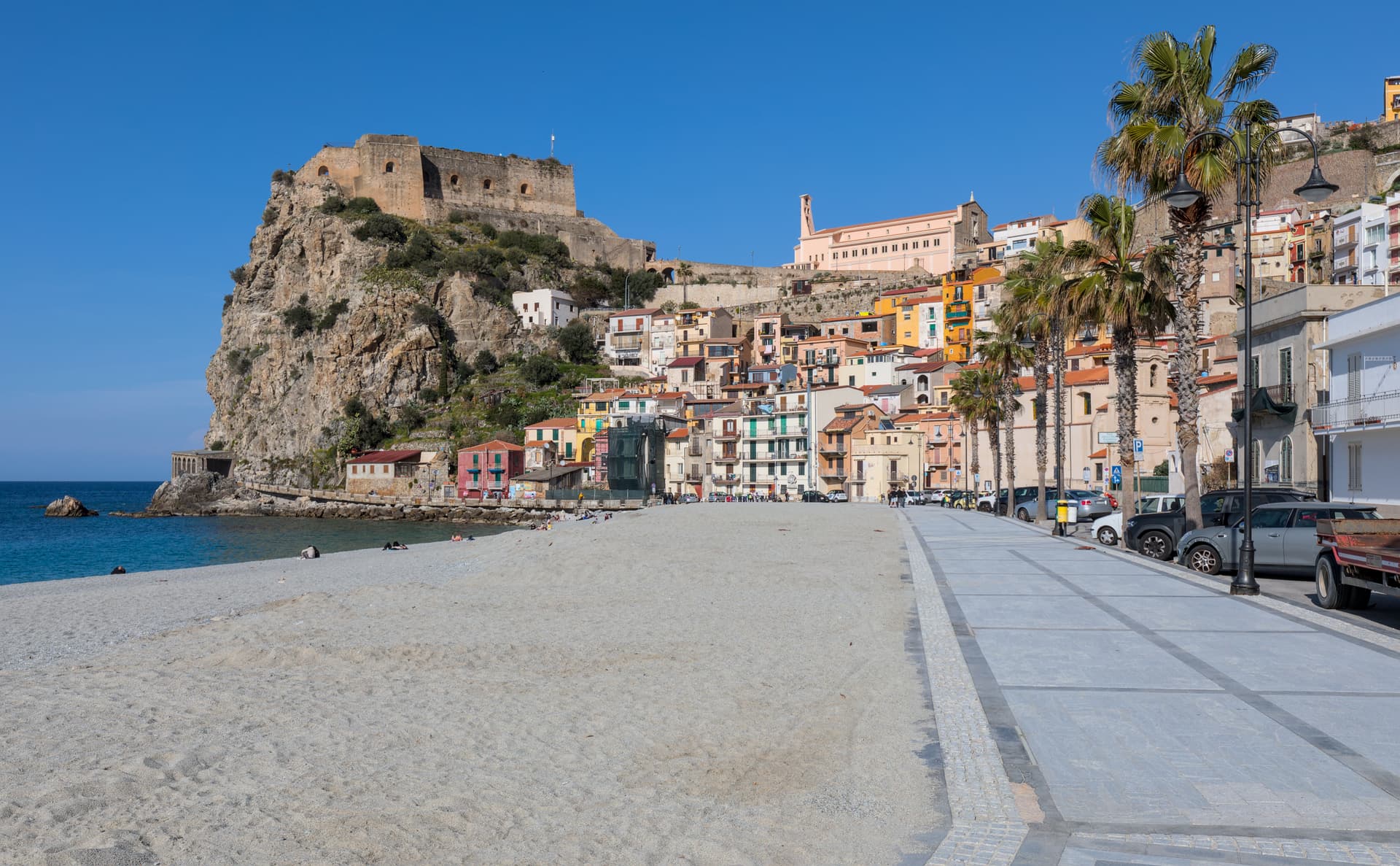 Scilla — photo 3