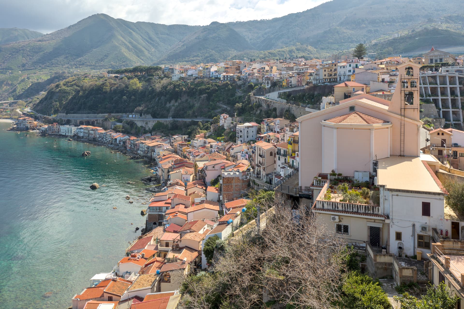 Scilla — photo 2