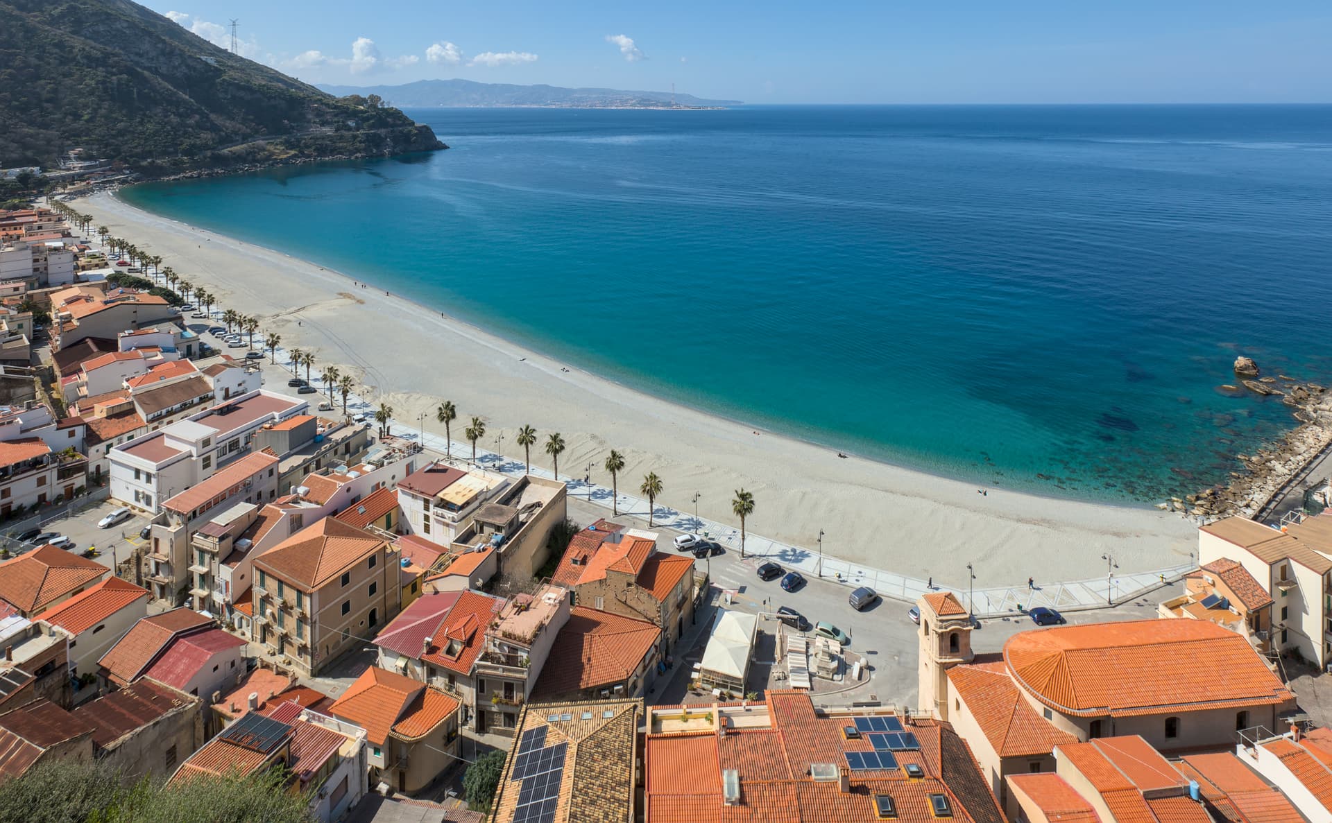 Scilla — photo 5