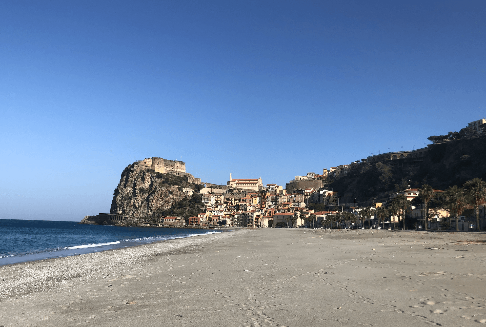 Scilla — photo 6