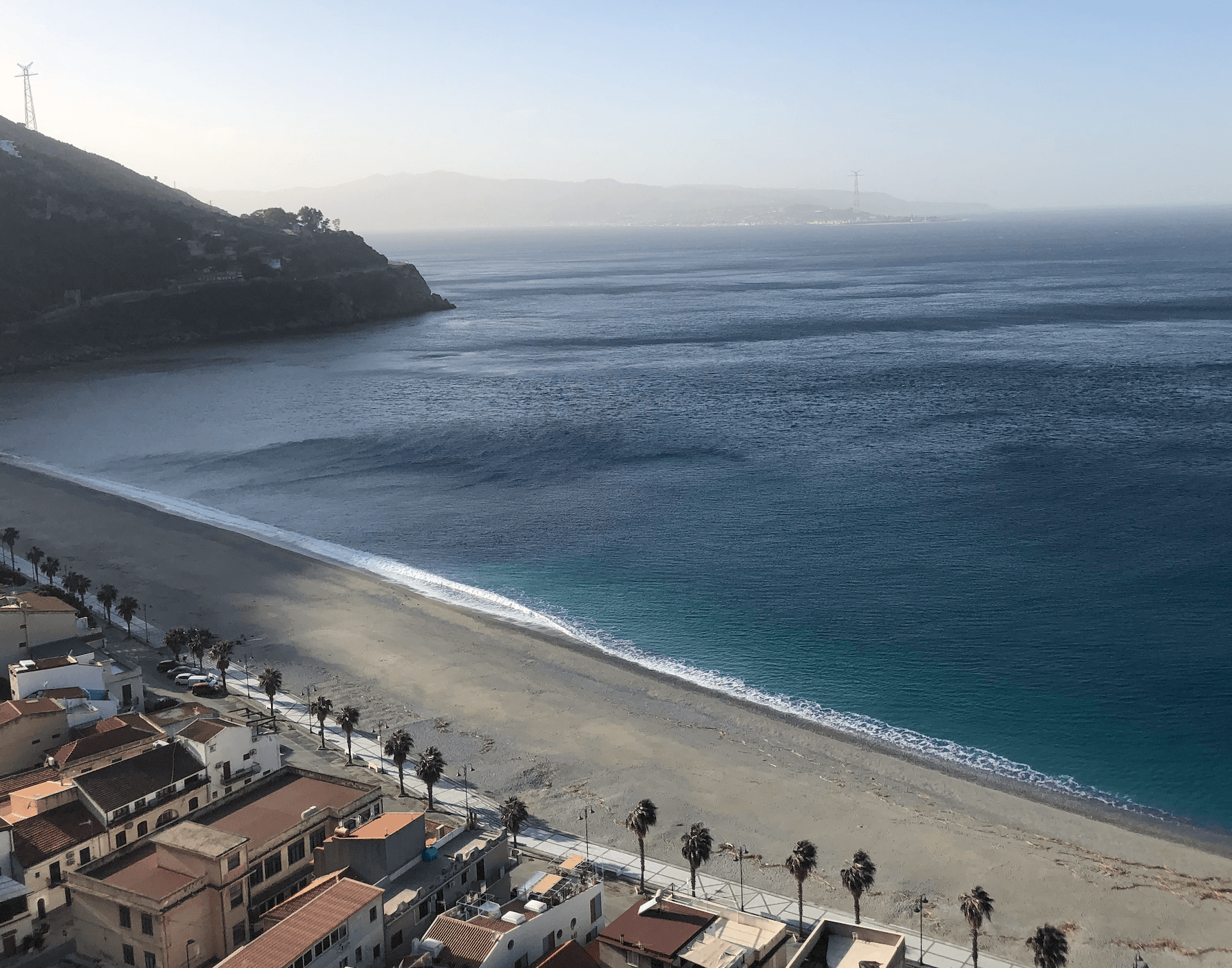 Scilla — photo 7