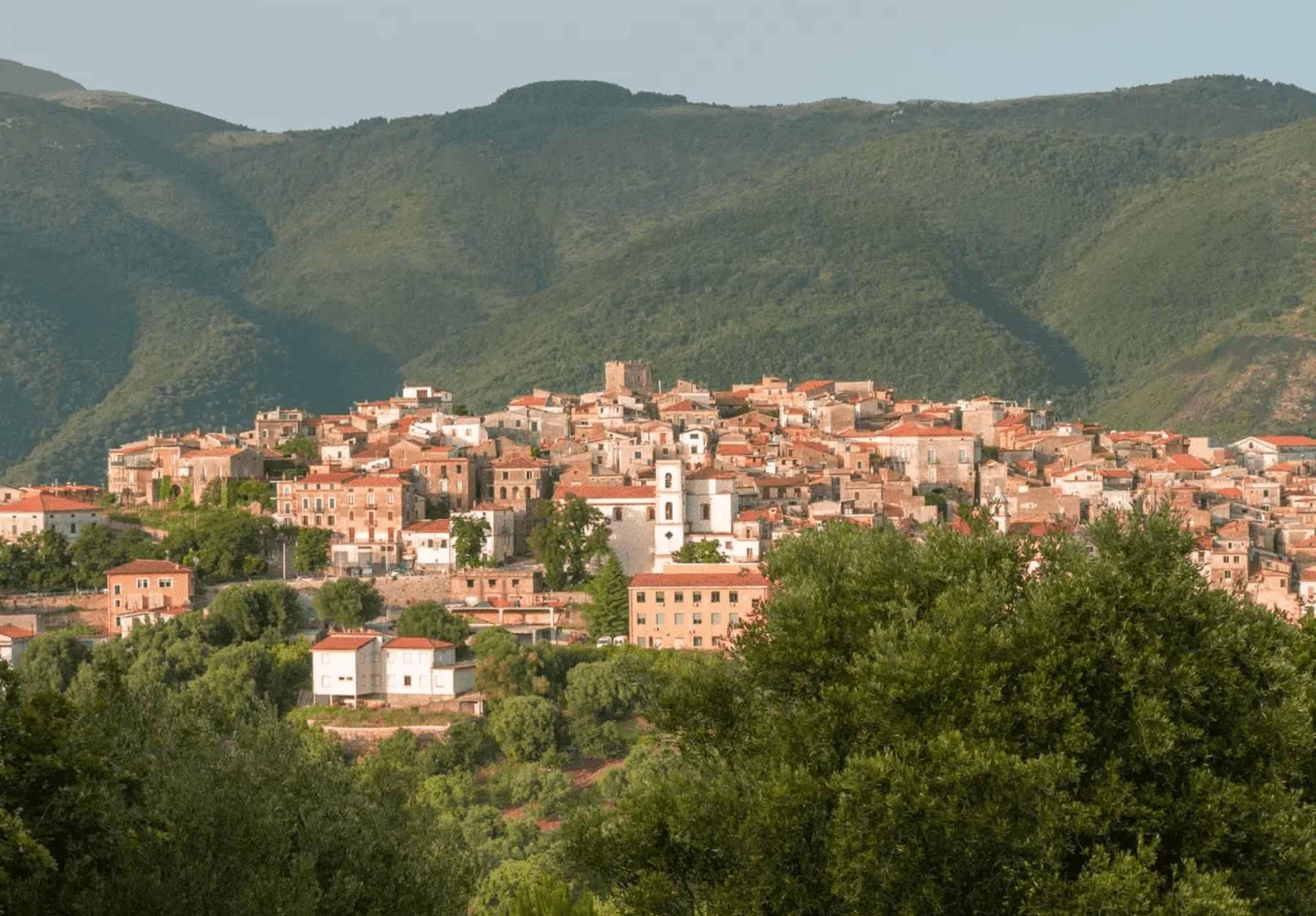 Camerota — photo 2