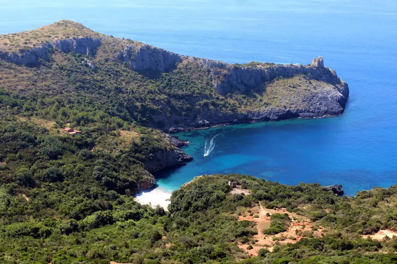 Camerota — photo 4
