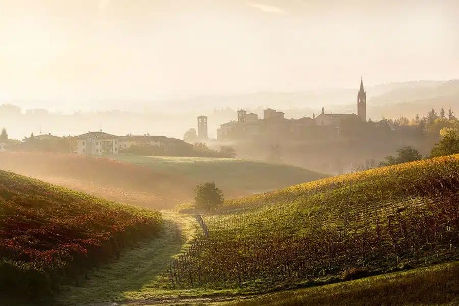 Castelvetro di Modena — photo 7