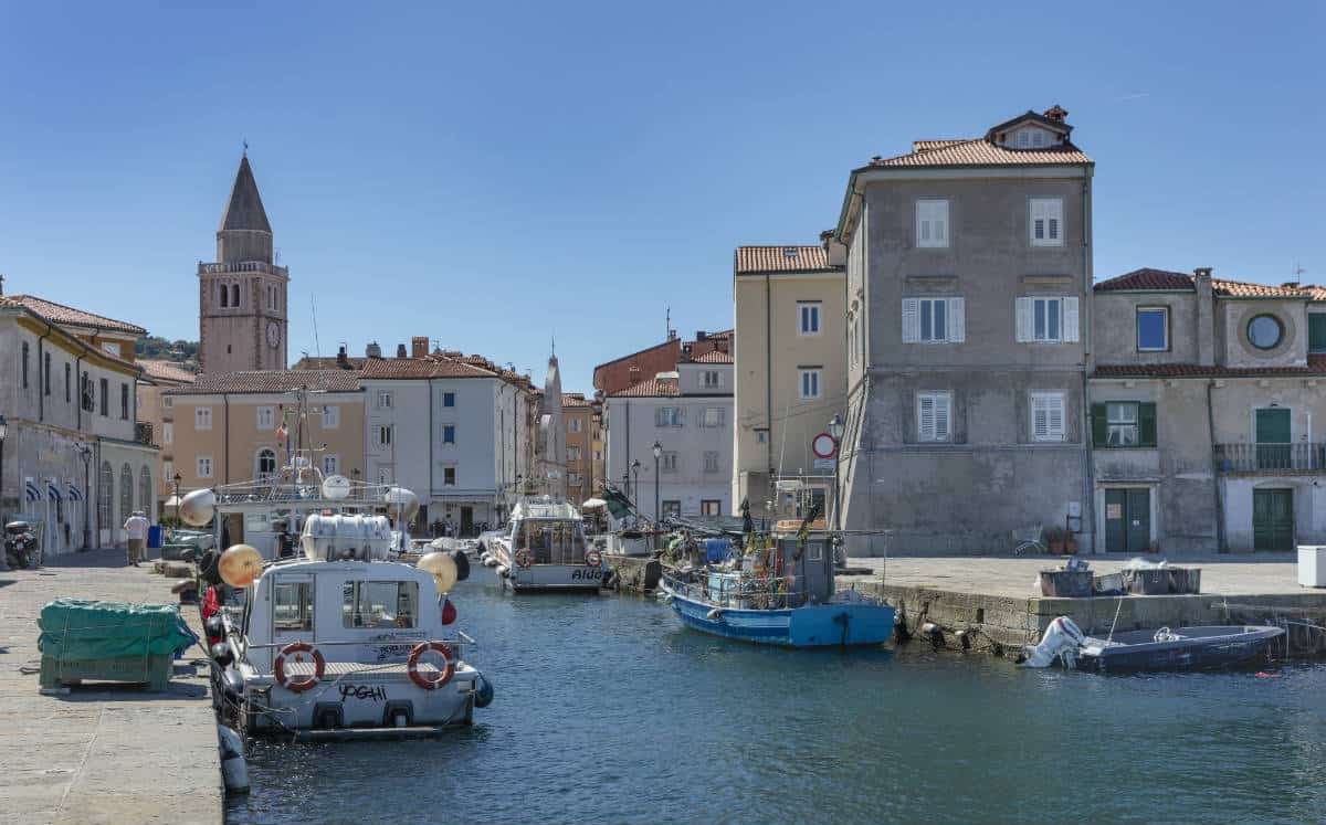 Muggia — photo 7