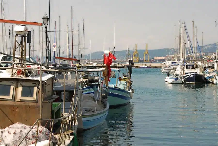Muggia — photo 8