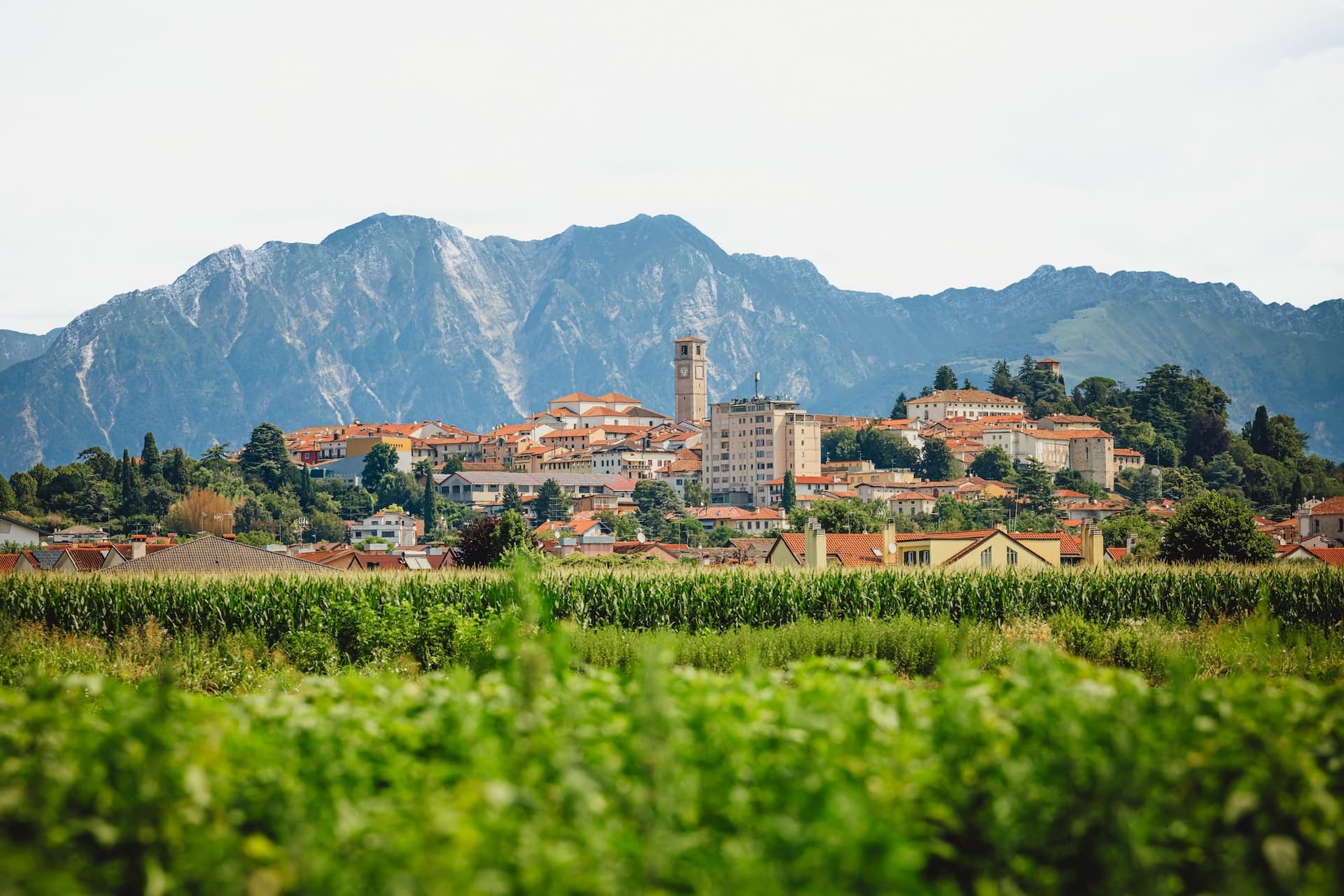 San Daniele del Friuli — photo 2
