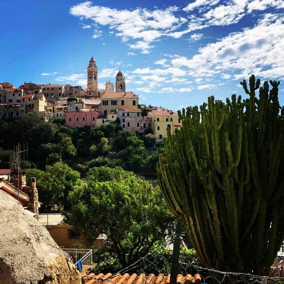 Cervo — photo 3