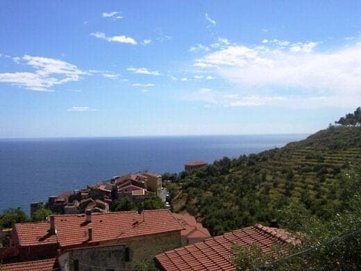 Cipressa — photo 5