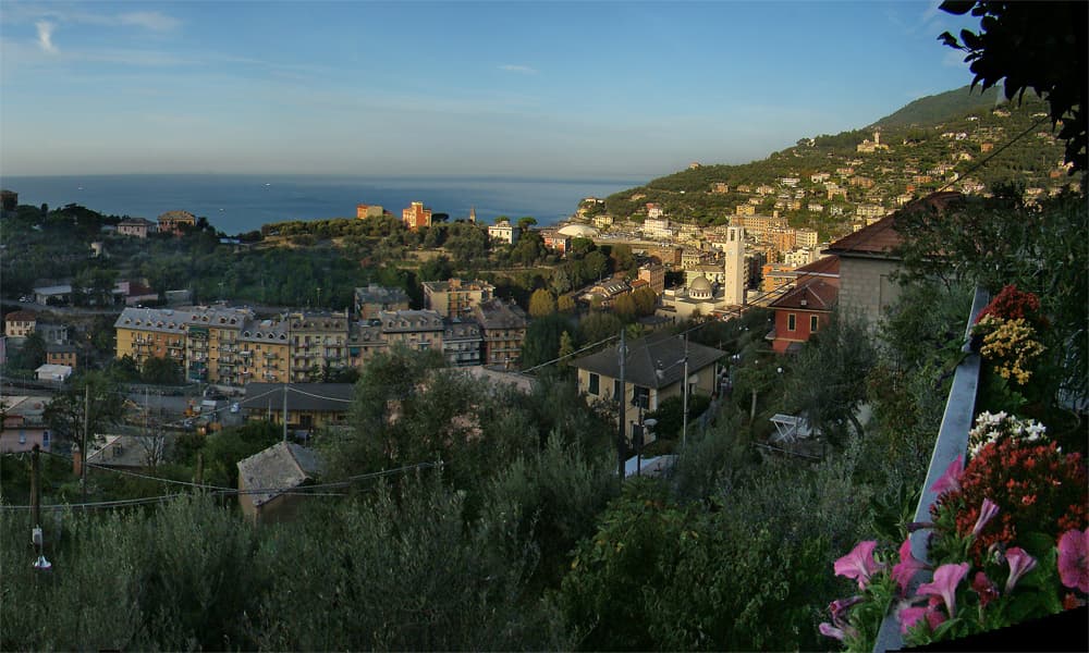 Recco — photo 3