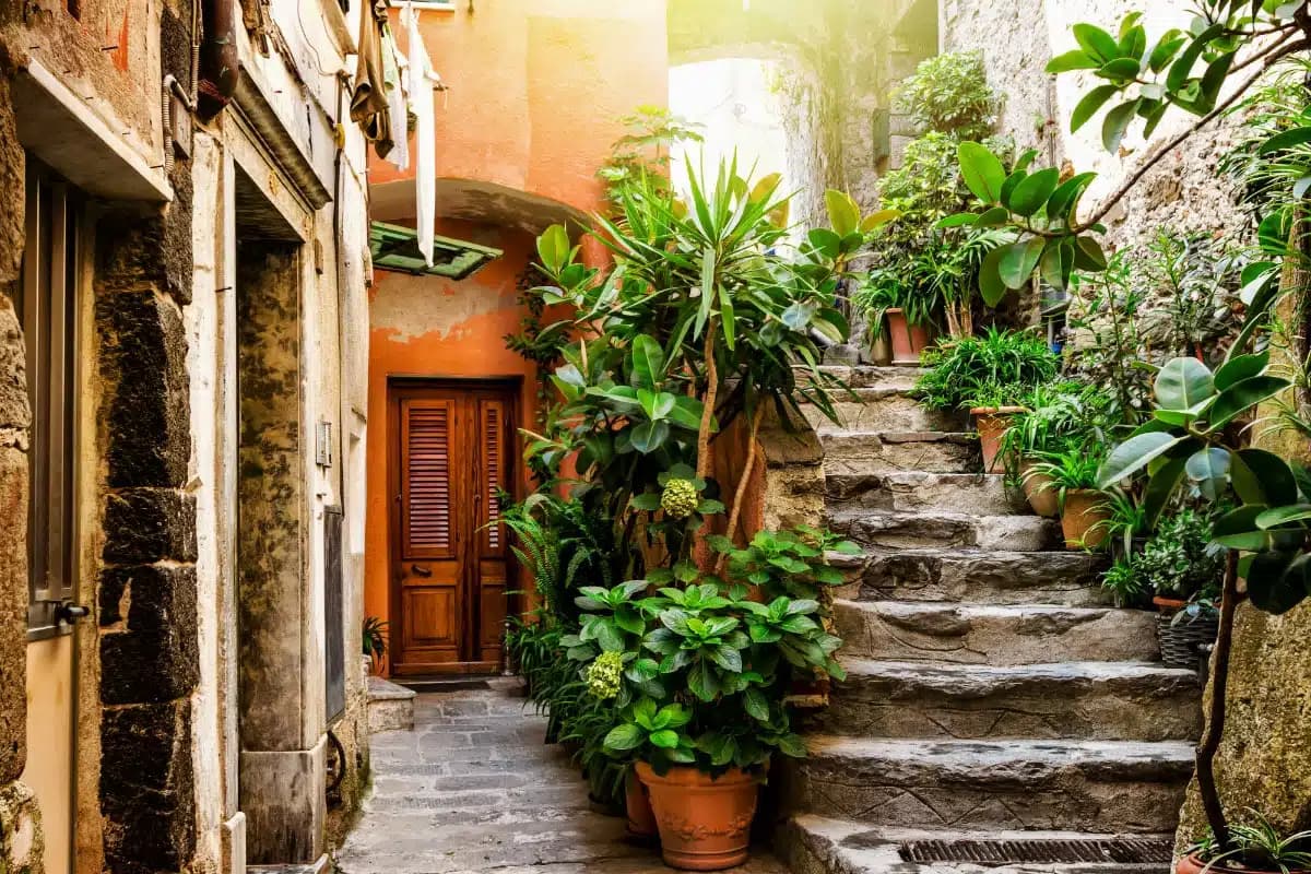Vernazza — photo 5