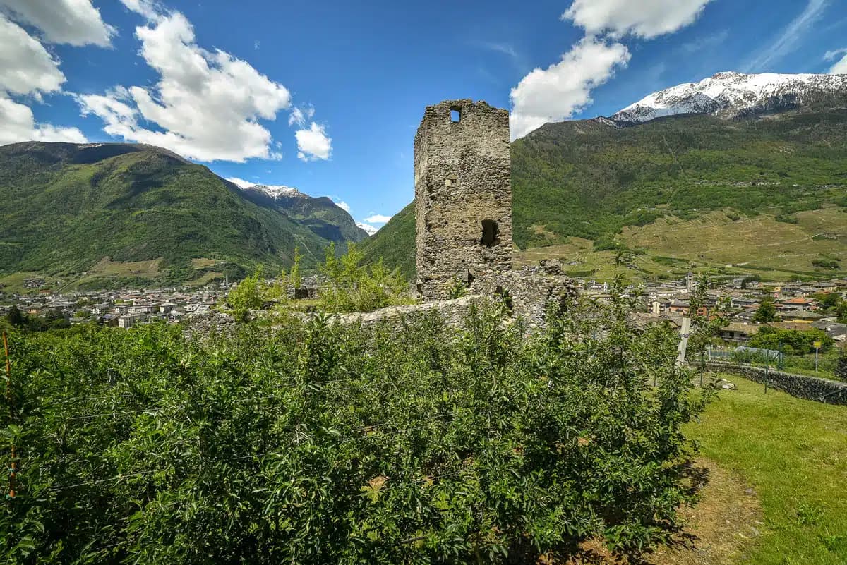 Tirano — photo 2