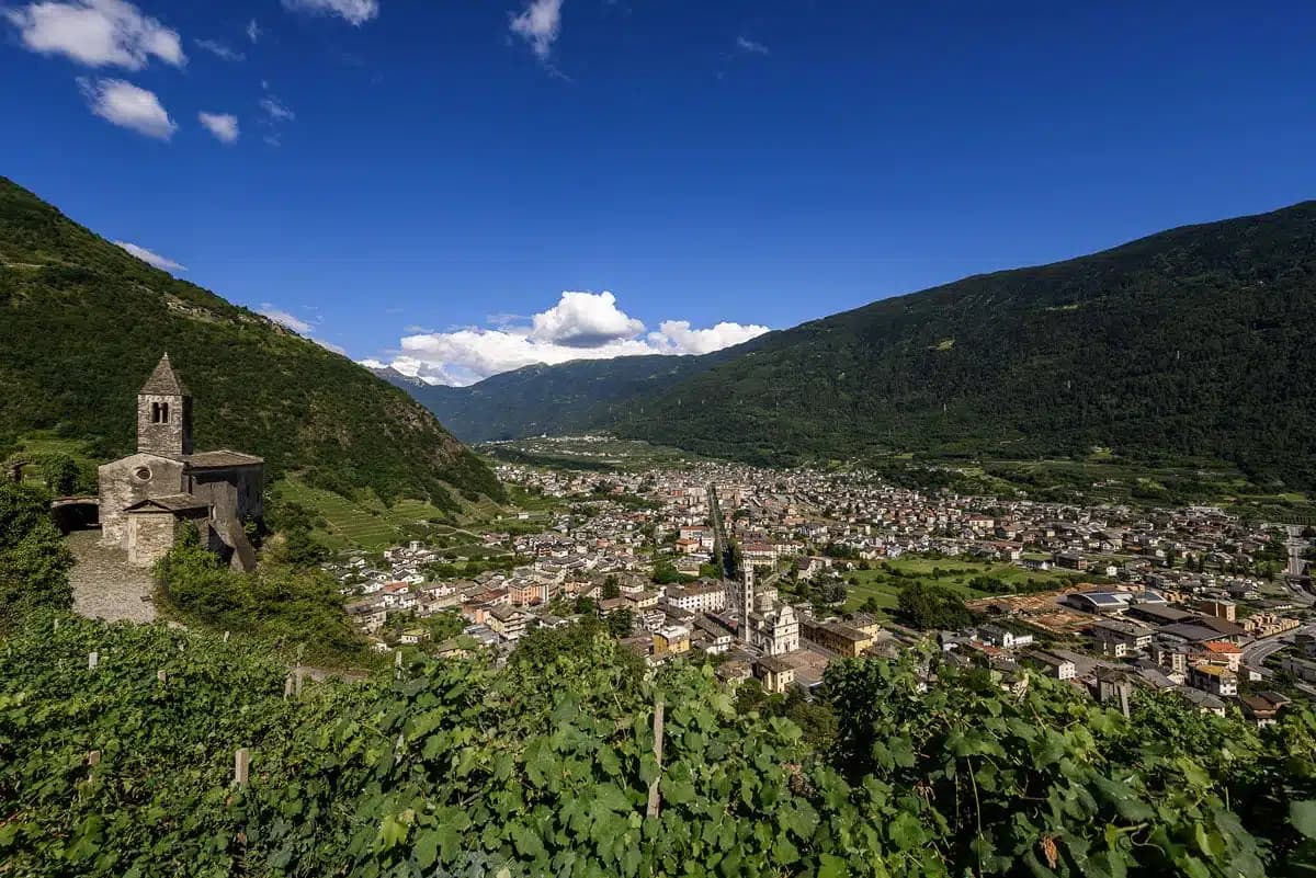 Tirano — photo 5
