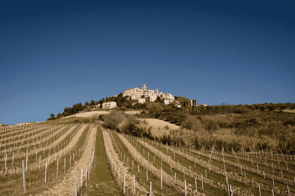 Moresco — photo 5