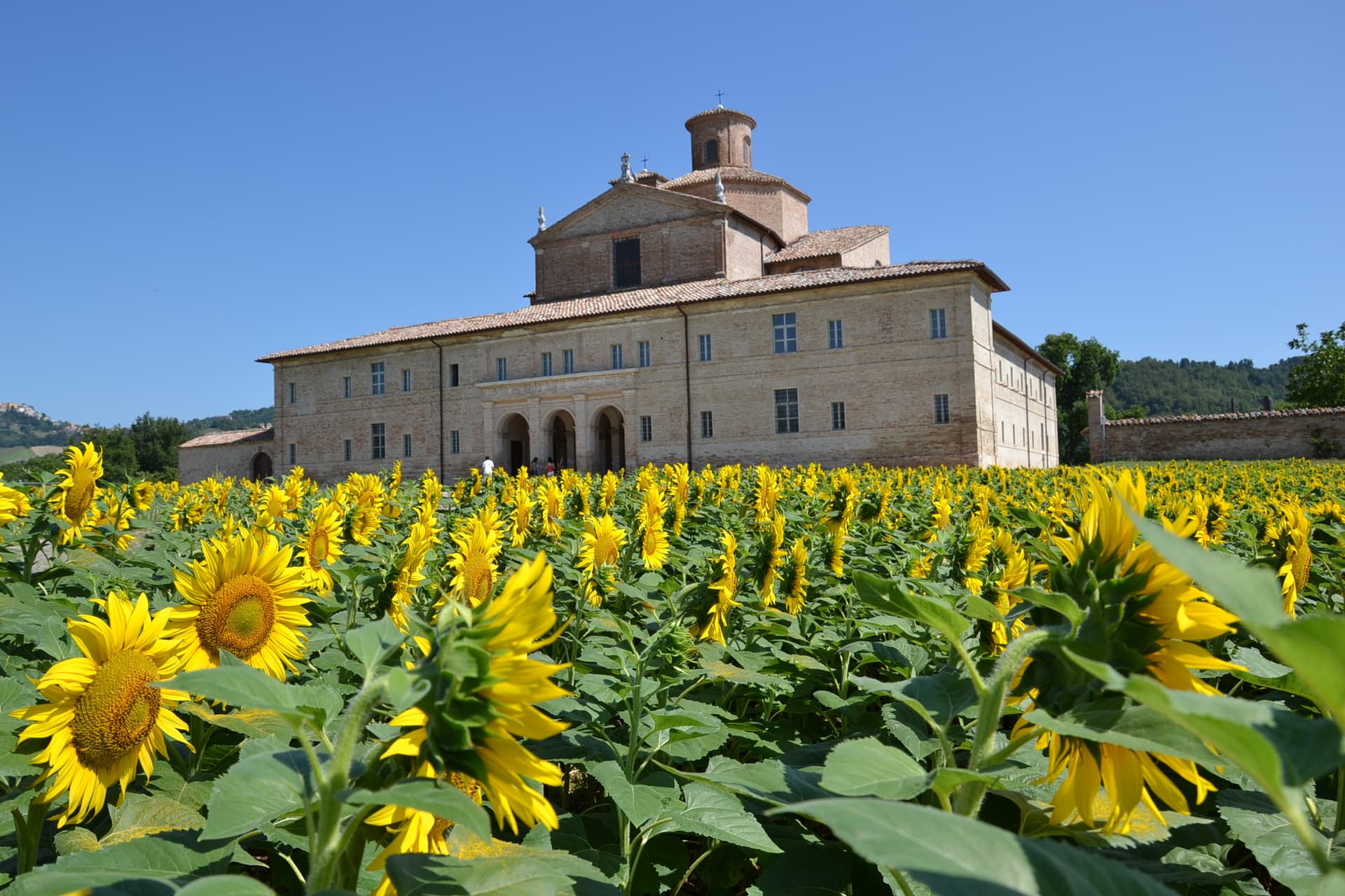 Urbania — photo 2