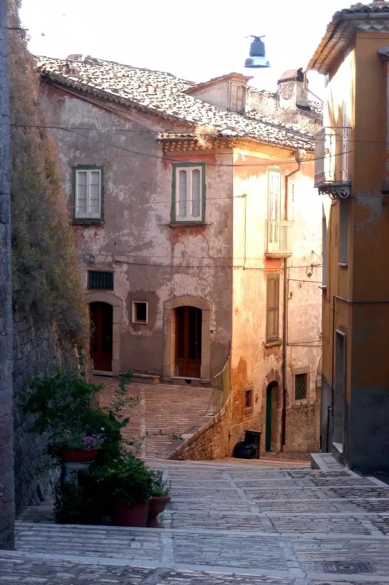 Ripalimosani — photo 8