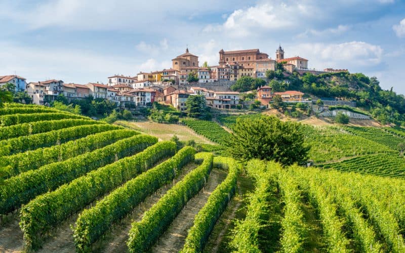Barolo — photo 6