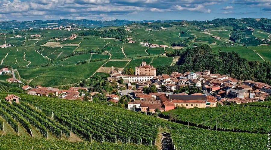 Barolo — photo 4