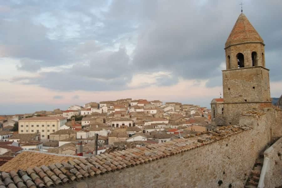 Bovino — photo 8