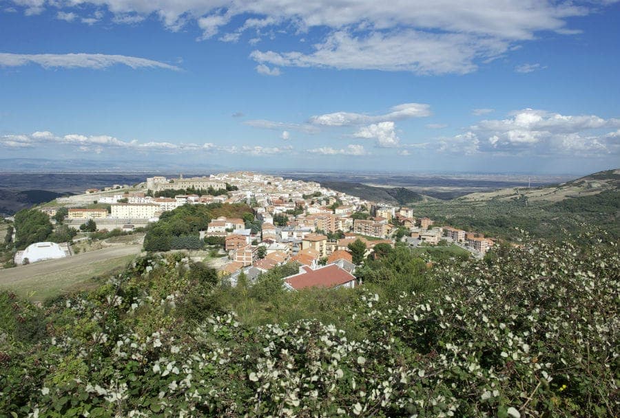 Bovino — photo 4