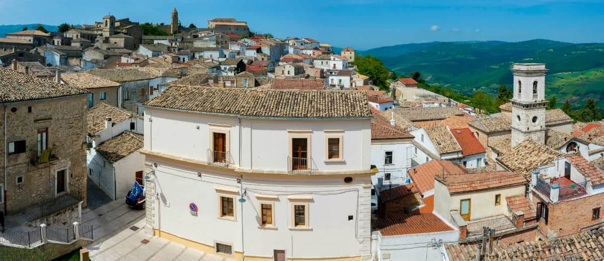Bovino — photo 6