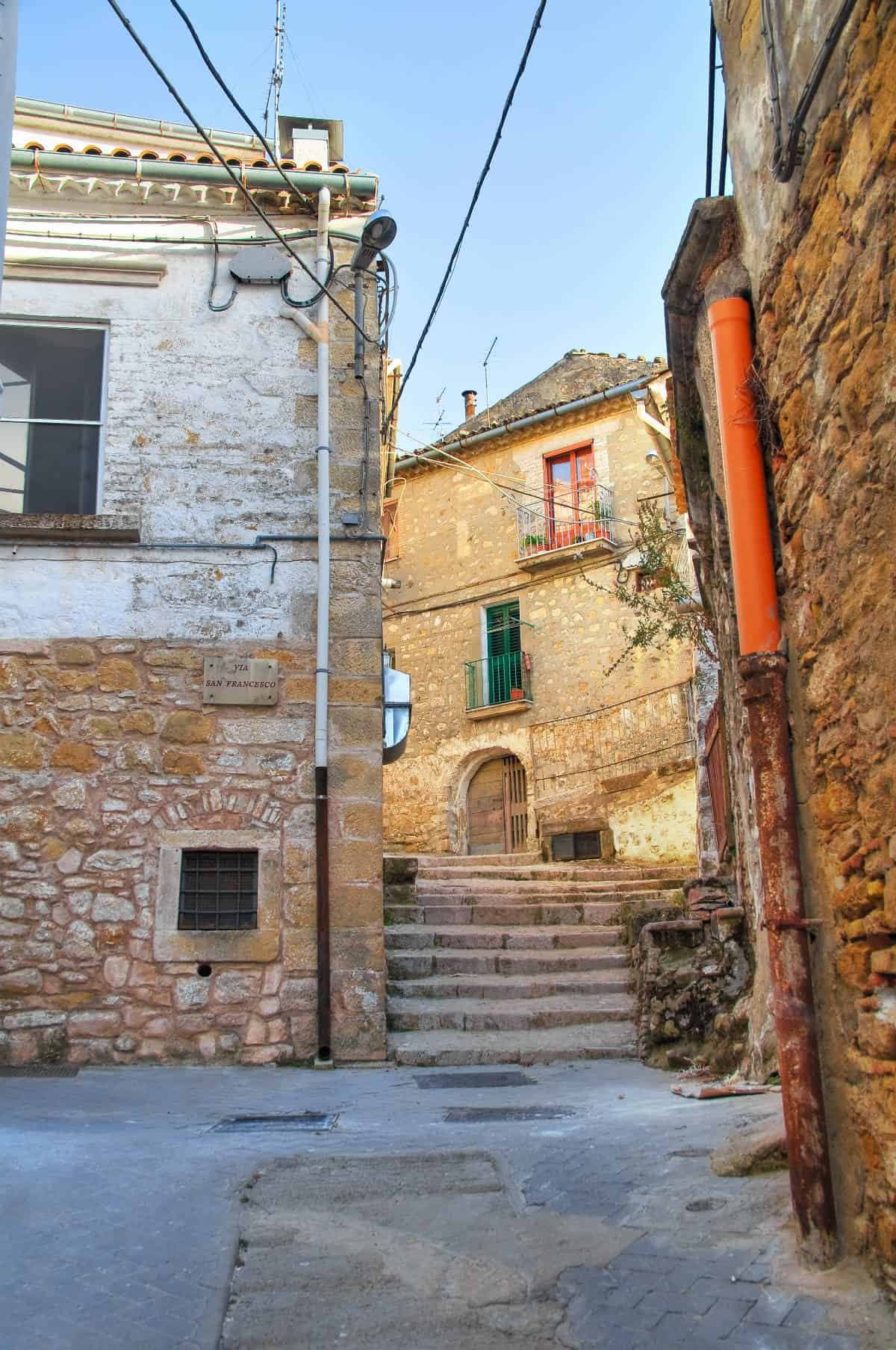 Bovino — photo 3