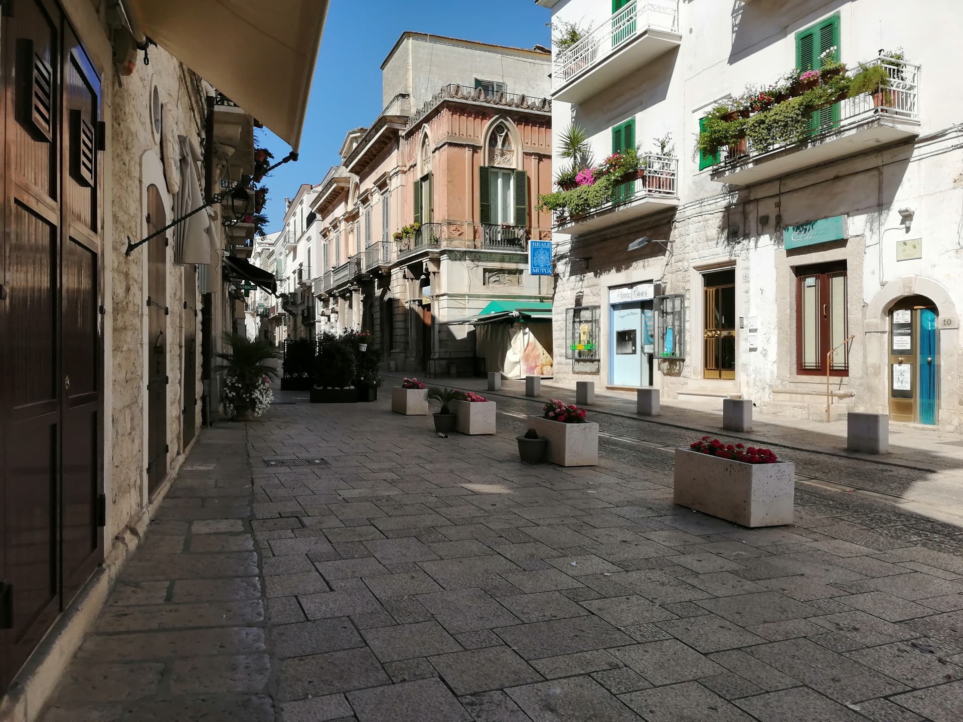 Minervino Murge — photo 3