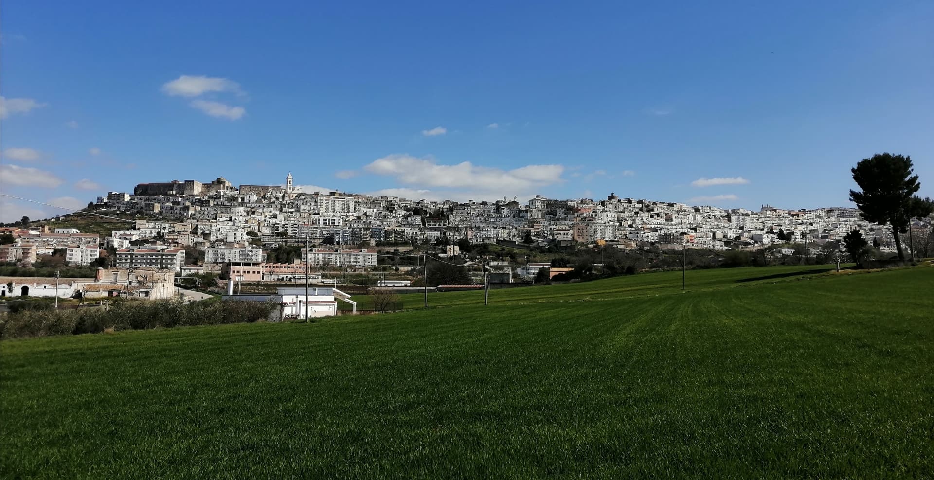 Minervino Murge — photo 5