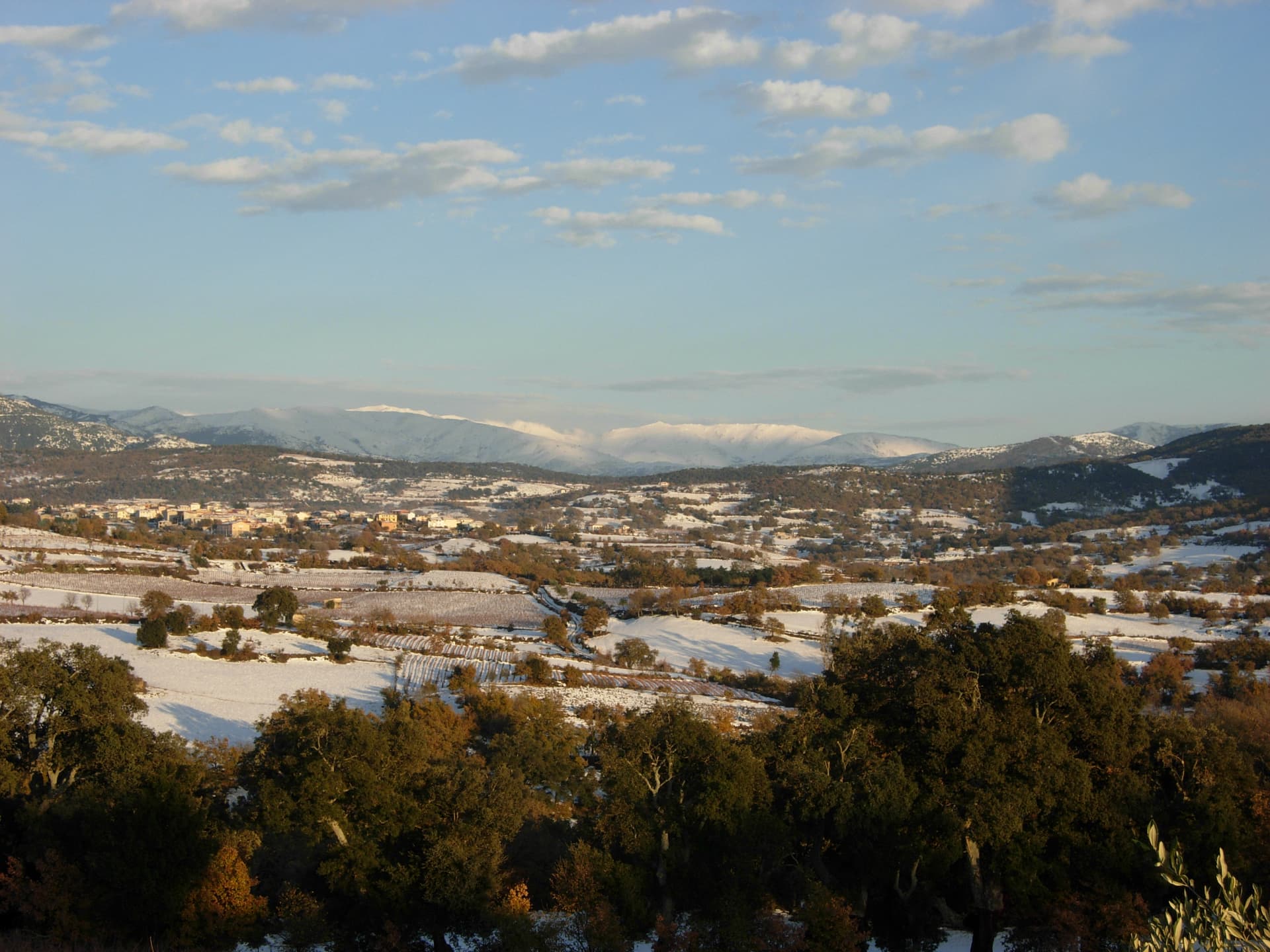 Atzara — photo 2