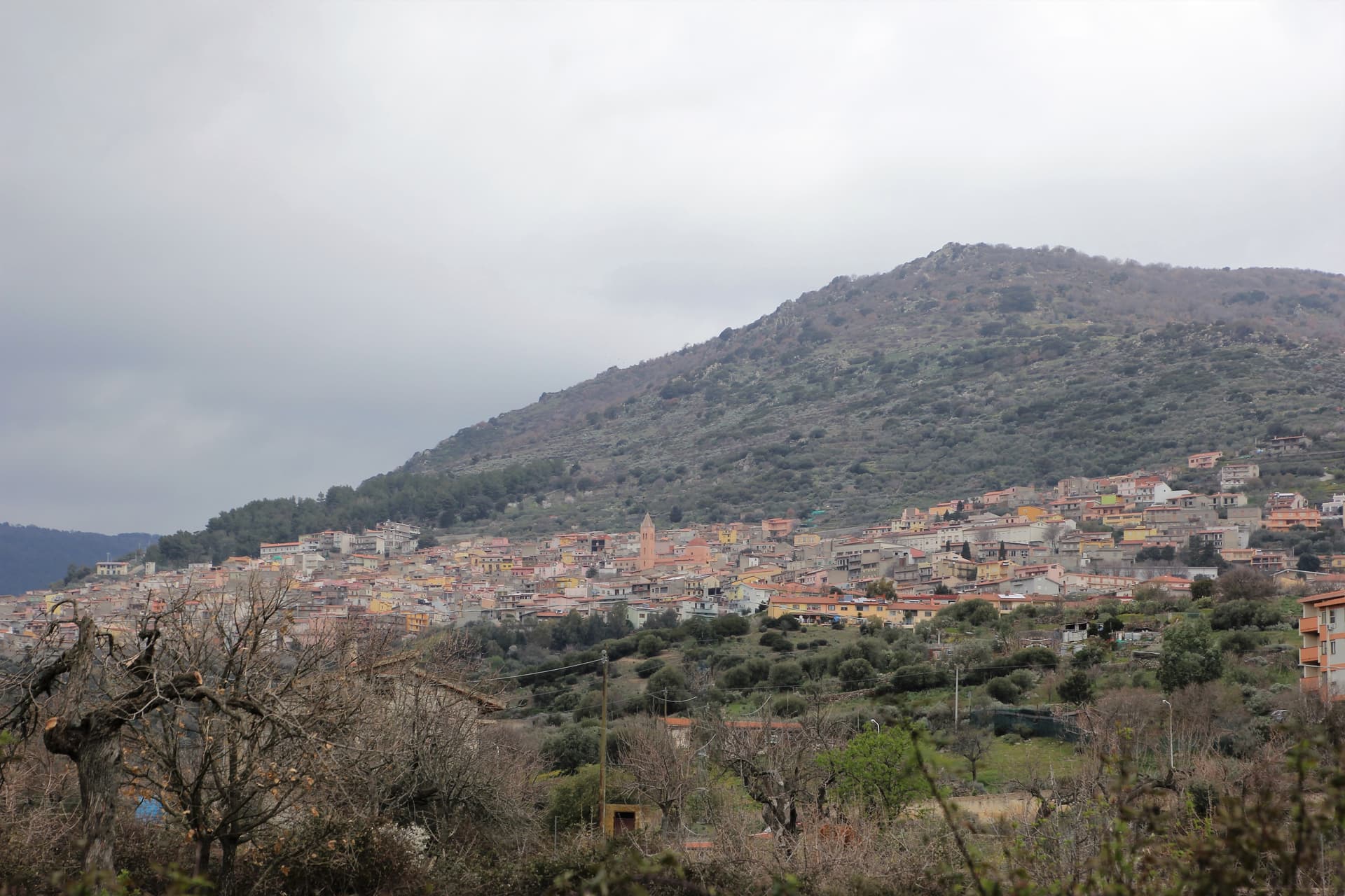 Bolotana — photo 3