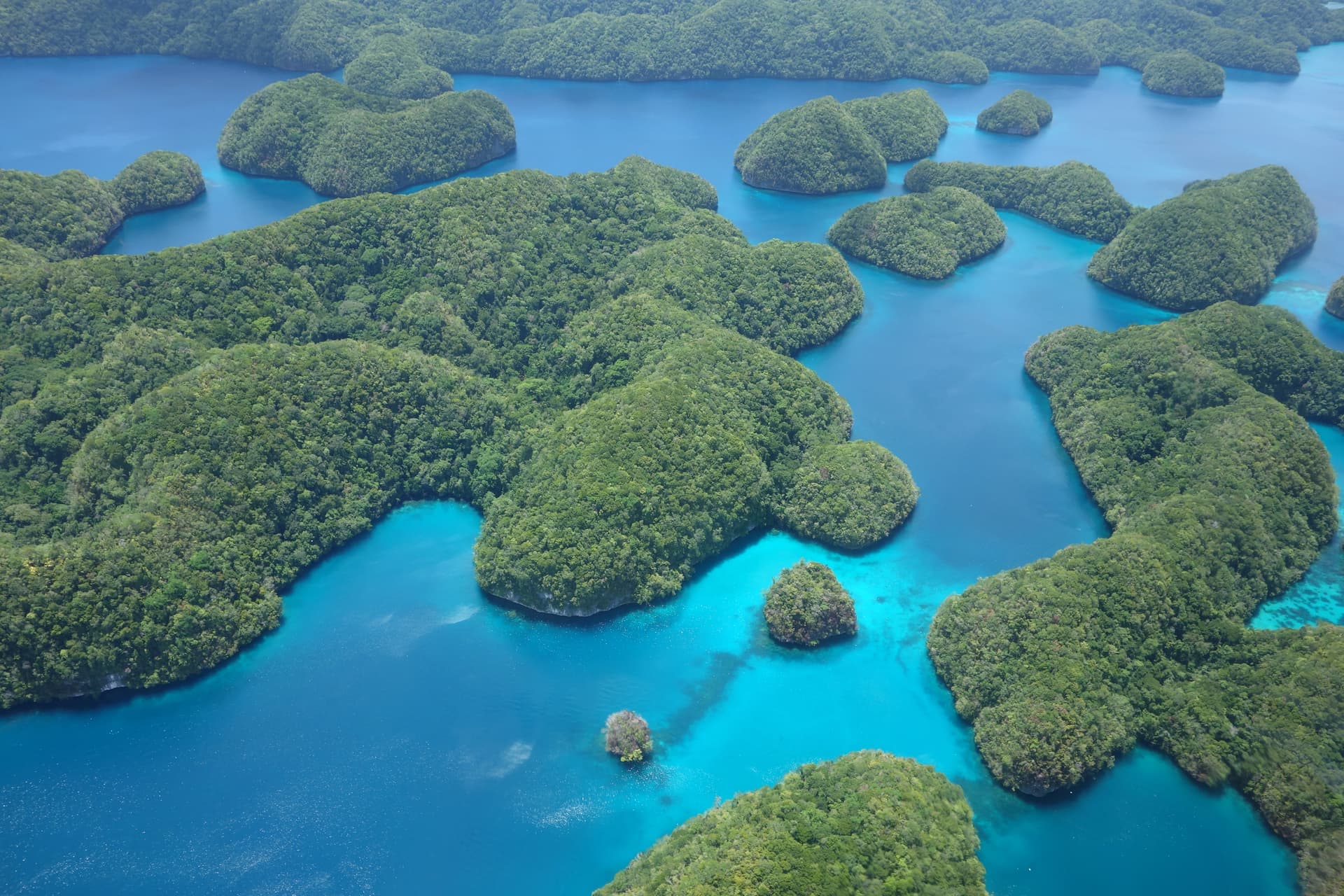 Palau — photo 1