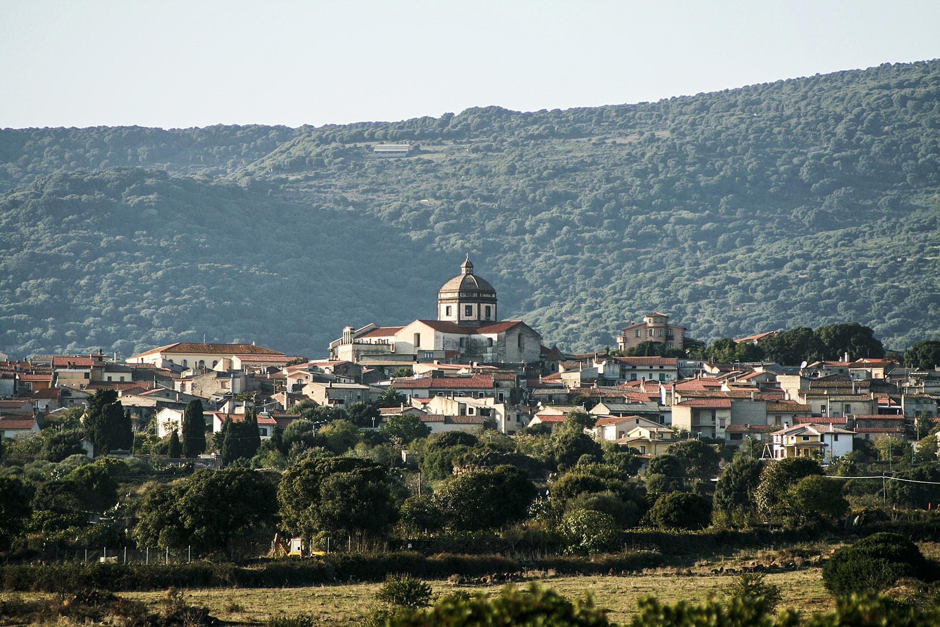 Seneghe — photo 6