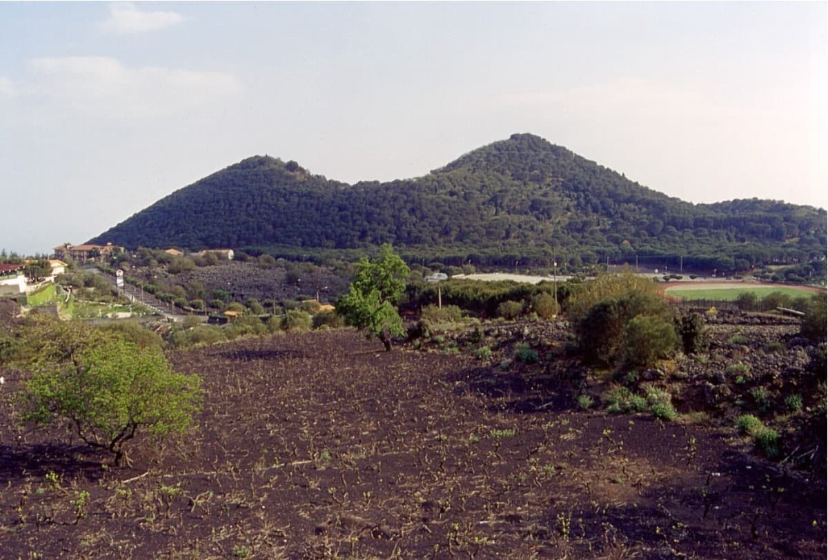 Nicolosi — photo 4