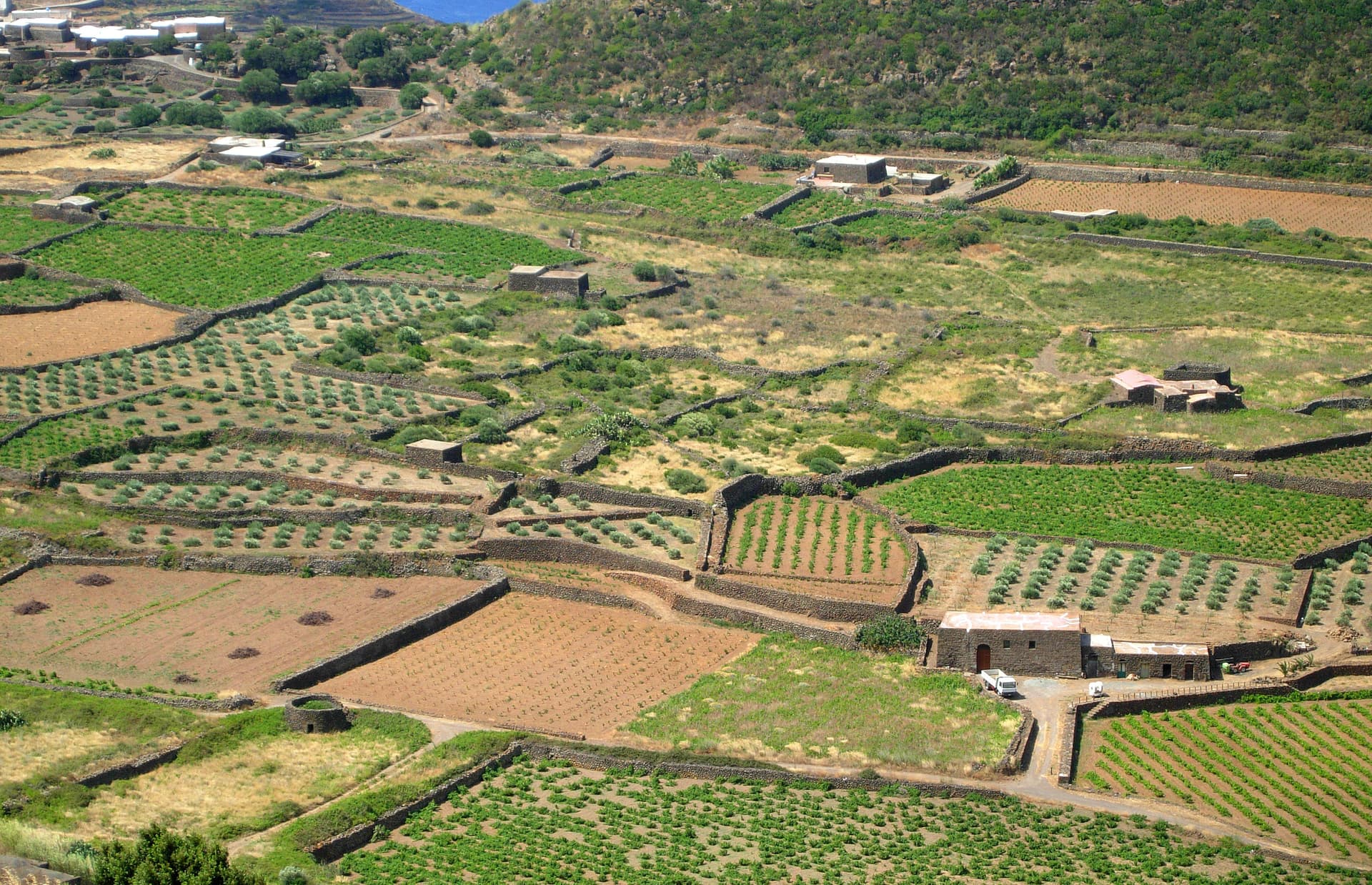 Pantelleria — photo 3