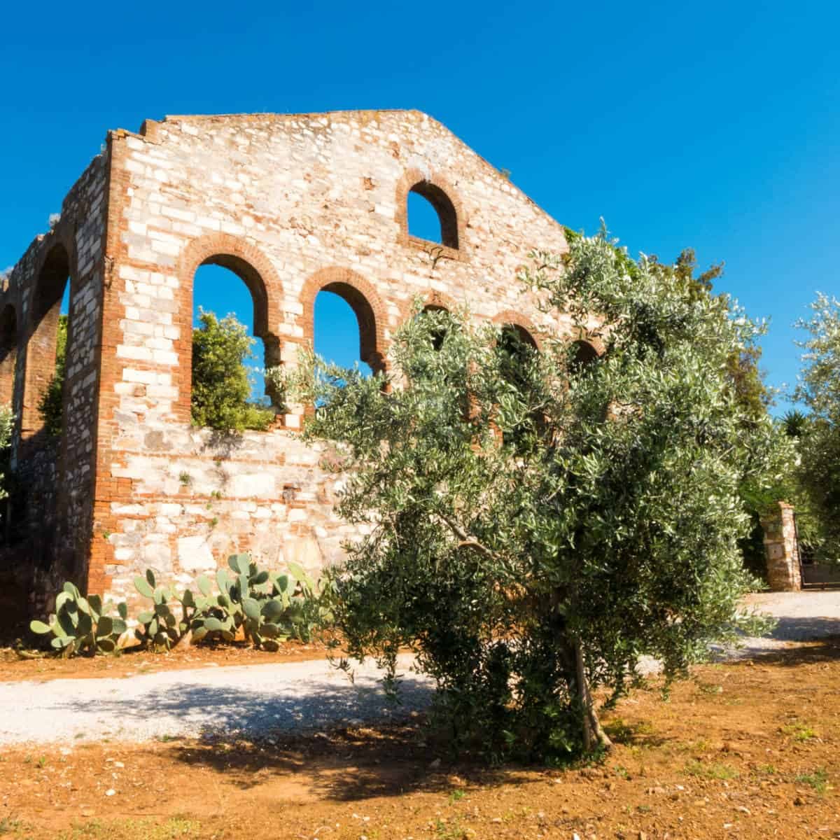 Campiglia Marittima — photo 3