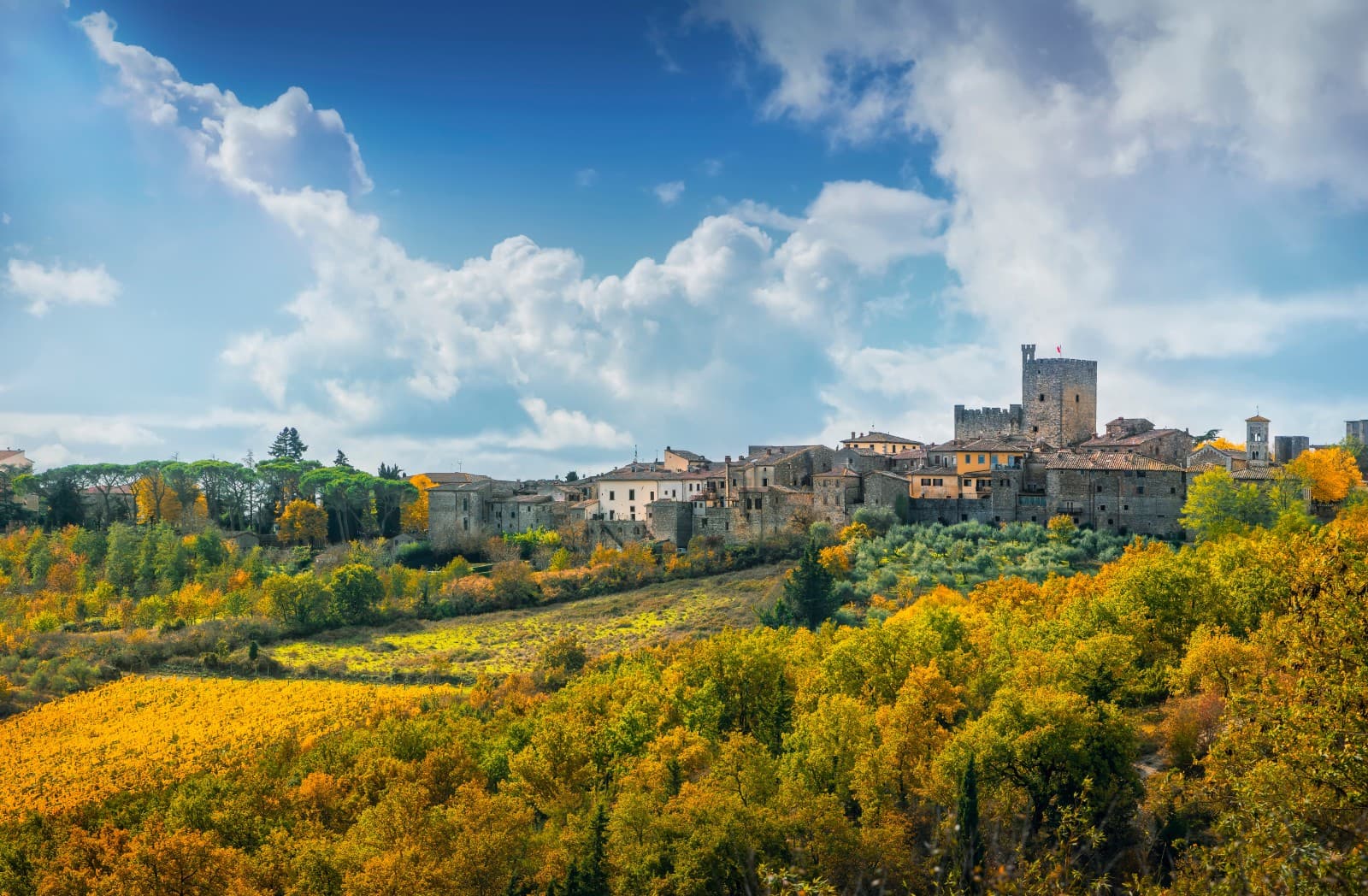 Castellina in Chianti — photo 5