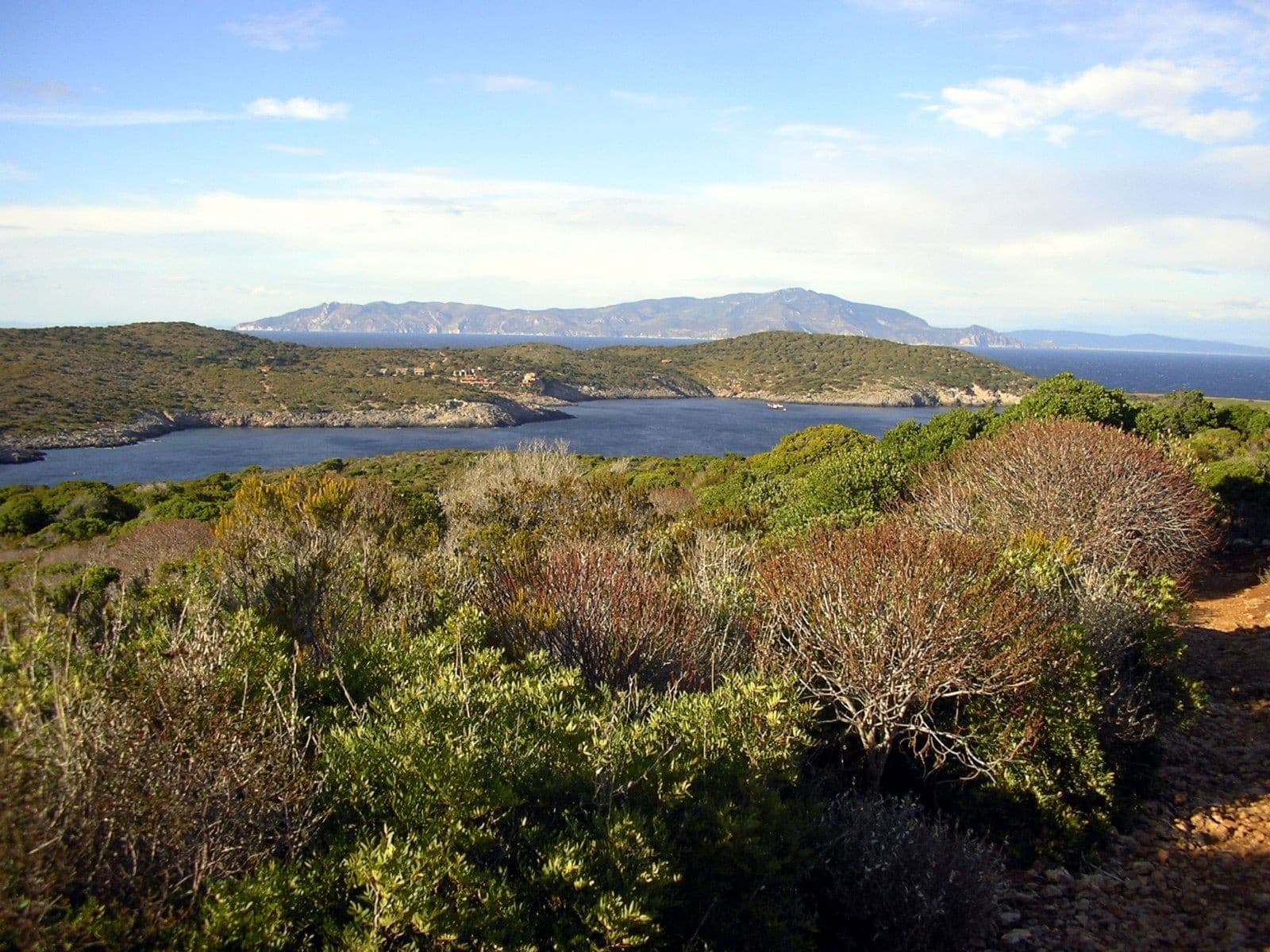 Isola del Giglio — photo 6