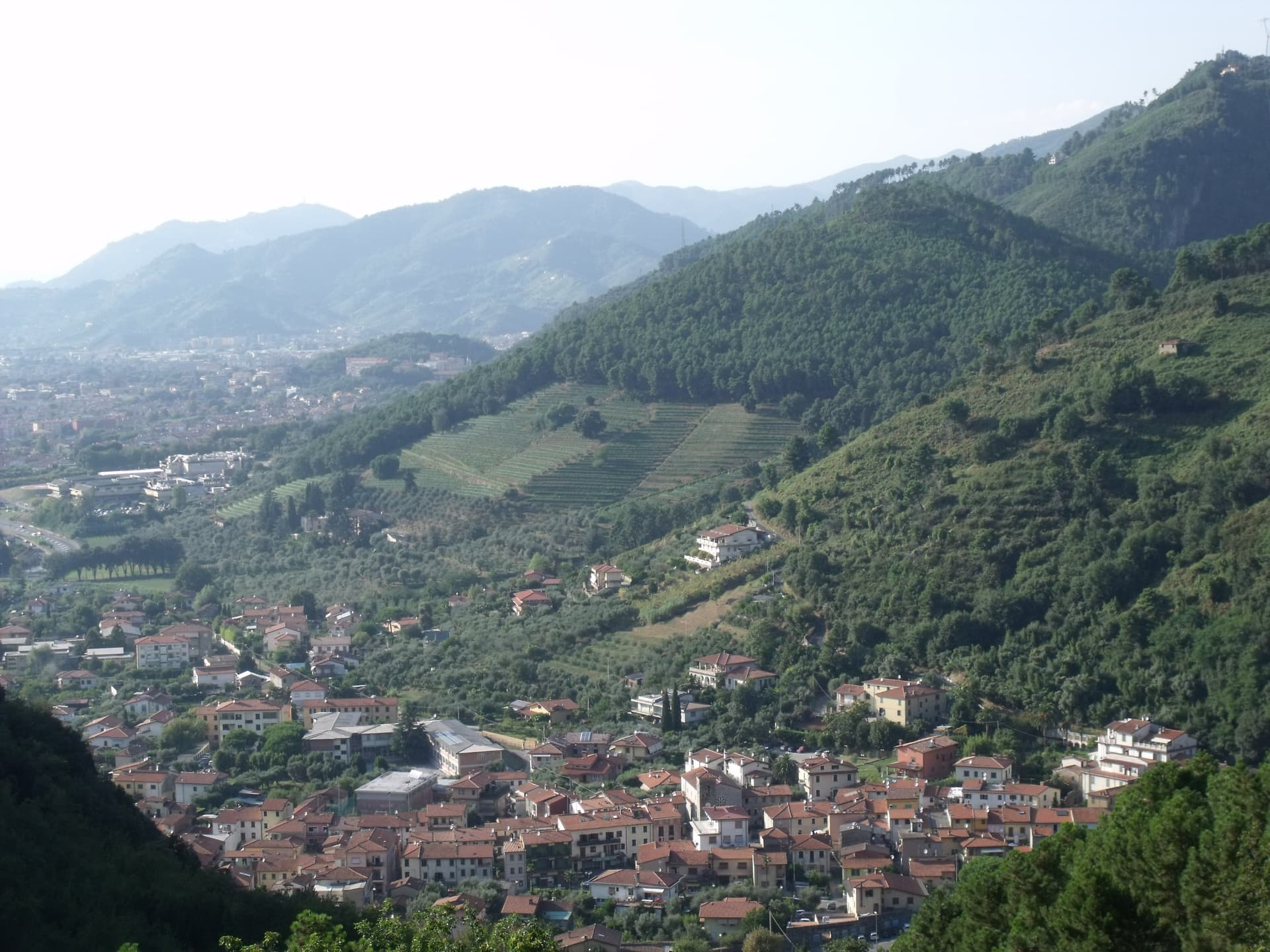 Montignoso — photo 2