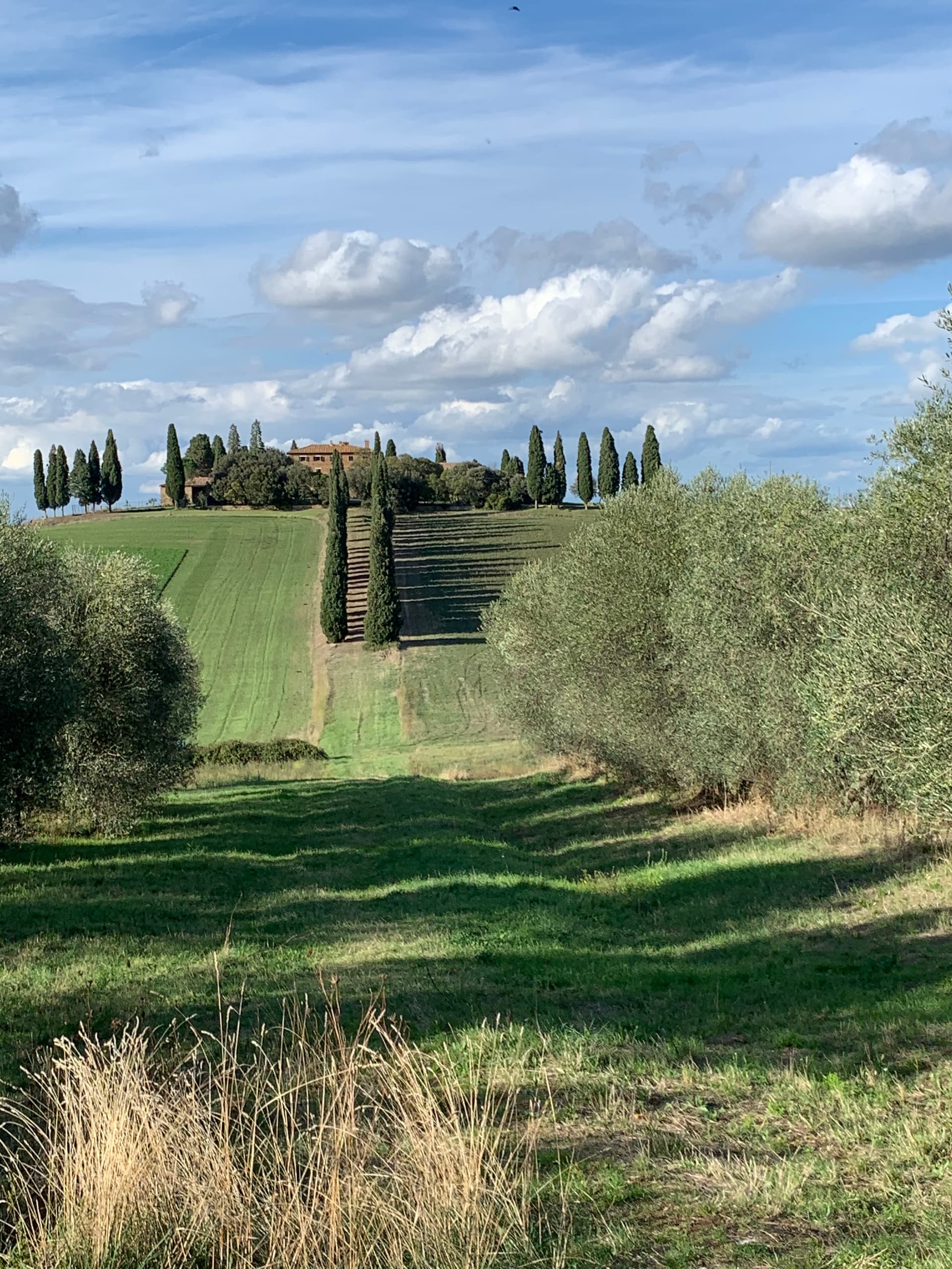 San Quirico d'Orcia — photo 4