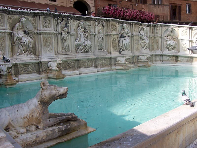 Siena — photo 9