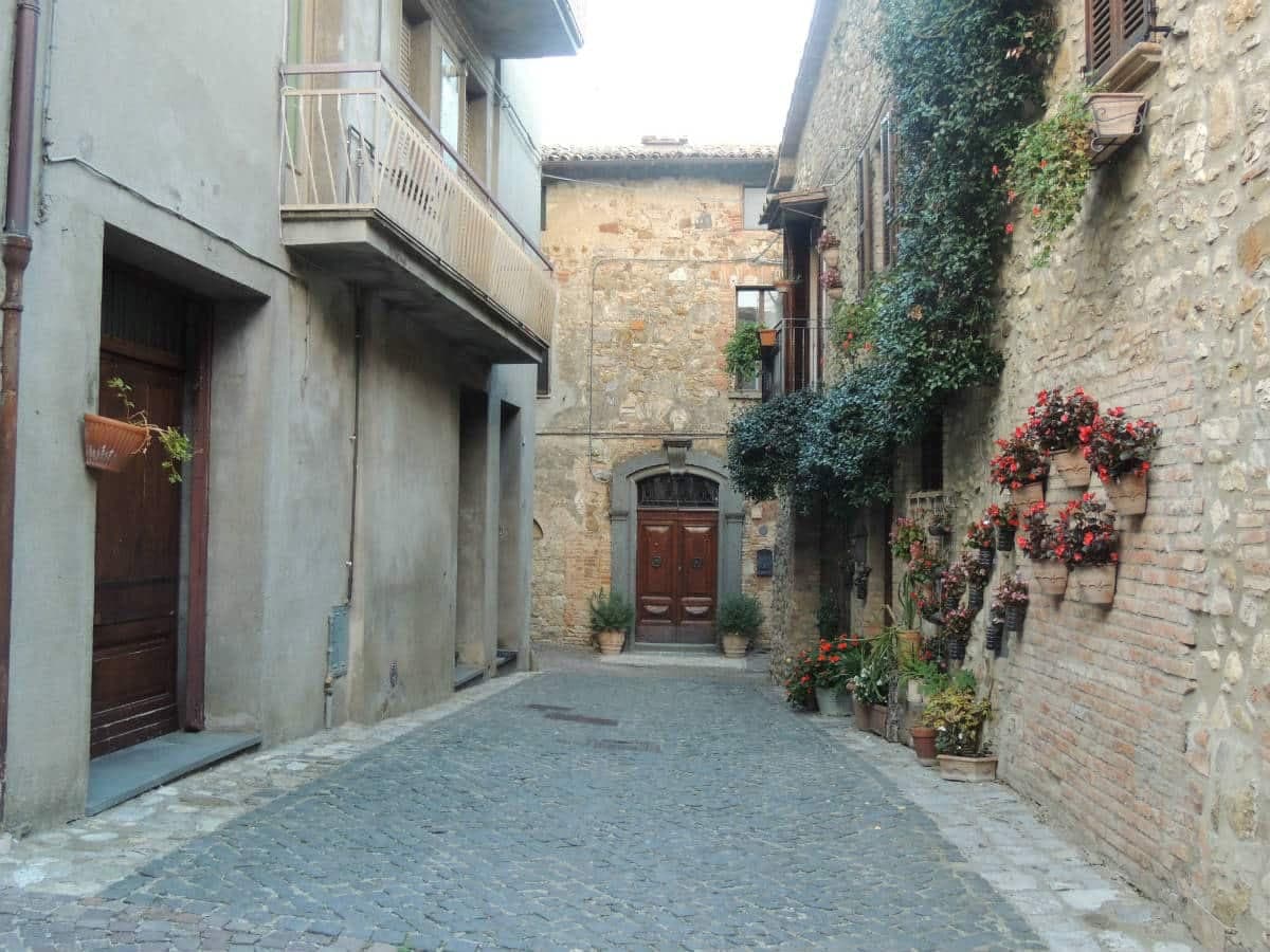 Allerona — photo 4