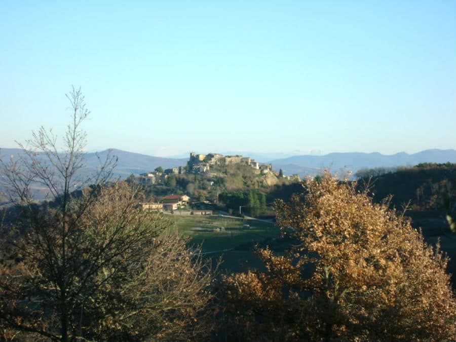 Allerona — photo 6