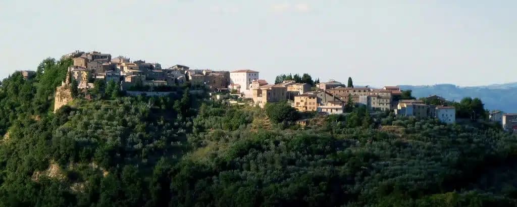 Allerona — photo 7