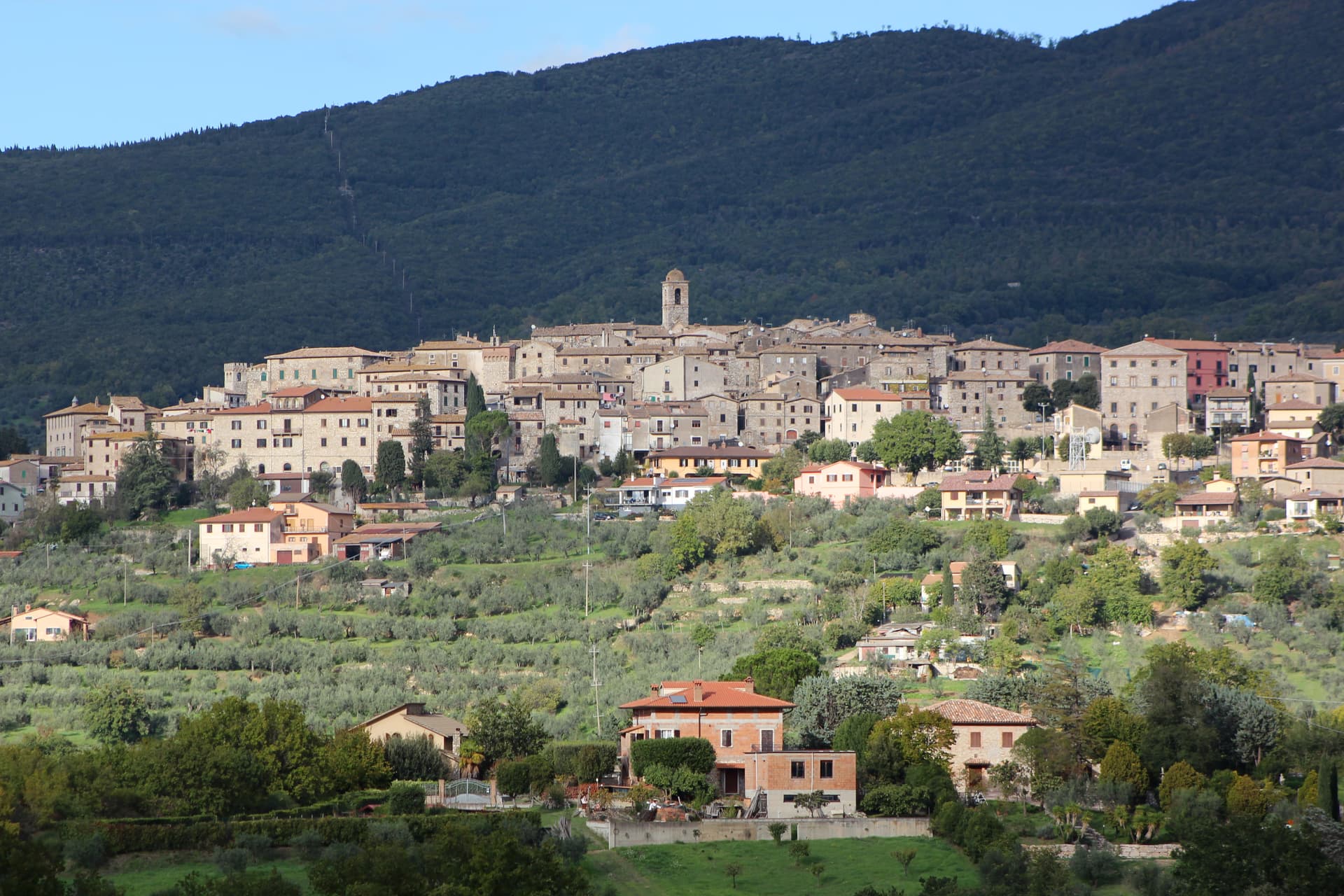 Montecchio — photo 1