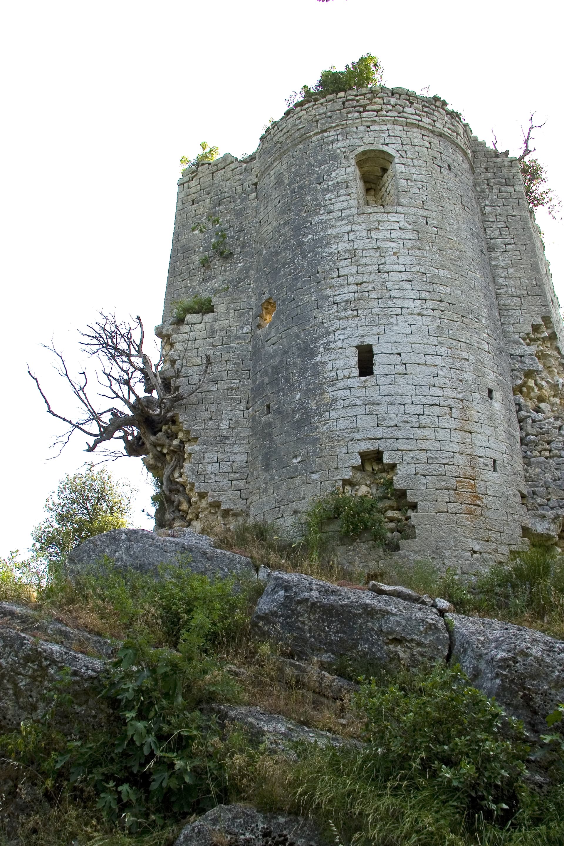 Montecchio — photo 2