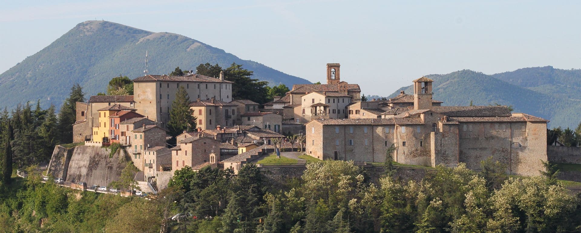 Montone — photo 3