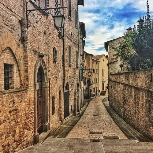 Montone — photo 4