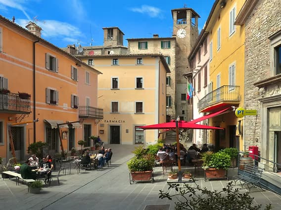 Montone — photo 5